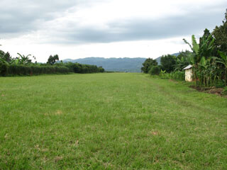 Bwindi Airport: liquid, bottles, firearms: everything accepted